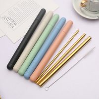 stainless steel straw set with shell and brush