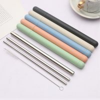 stainless steel straw set with shell and brush